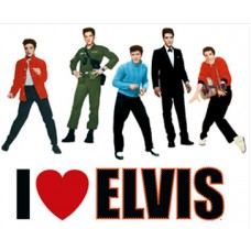 I Love Elvis Window Clings